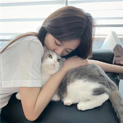 受伤的小鹿